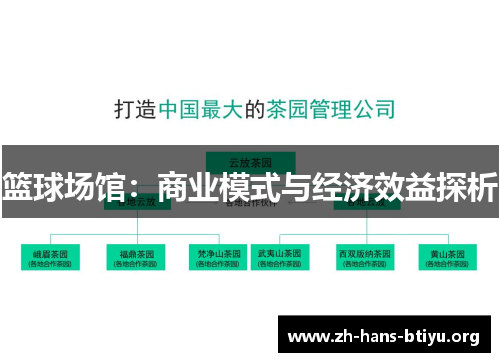 篮球场馆:商业模式与经济效益探析 篮球场馆:商业模式与经济效益探析